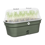 green basics kweektray allin1 l blad groen